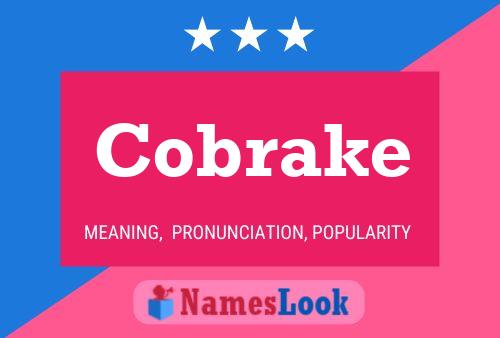 Cobrake 名字海报