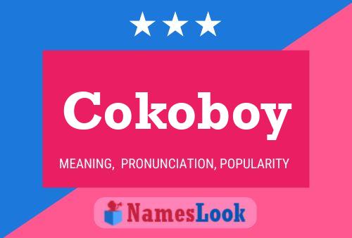 Cokoboy 名字海报