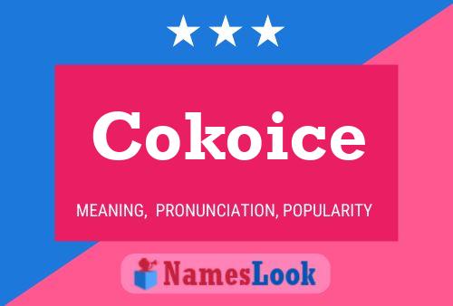 Cokoice 名字海报