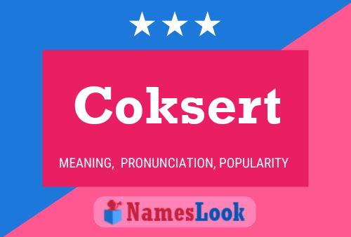 Coksert 名字海报