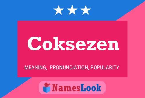 Coksezen 名字海报