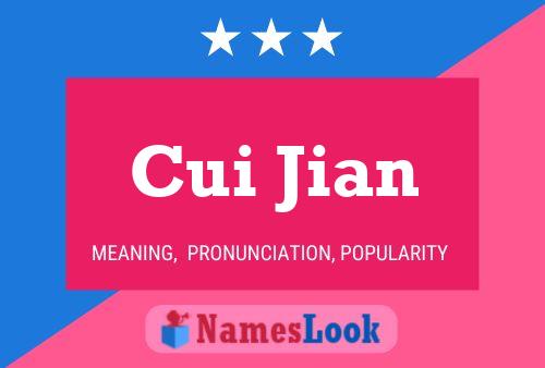 Cui Jian 名字海报