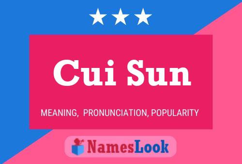 Cui Sun 名字海报