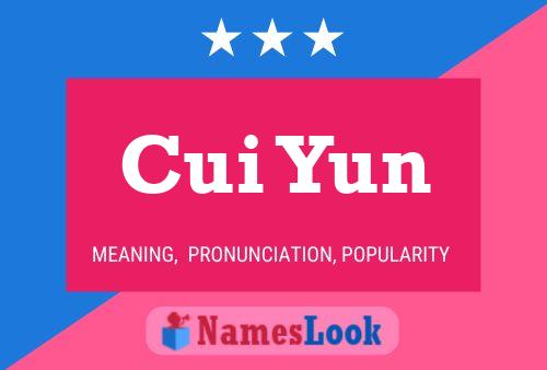 Cui Yun 名字海报