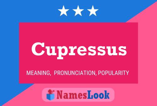 Cupressus 名字海报