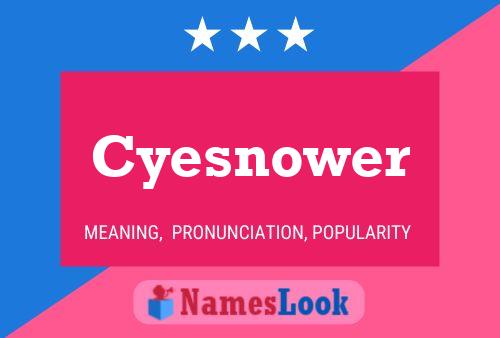 Cyesnower 名字海报