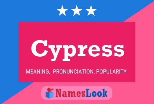 Cypress 名字海报