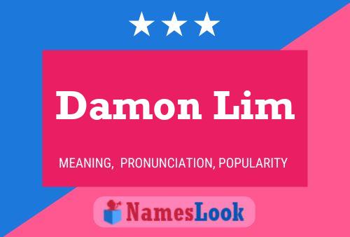 Damon Lim 名字海报