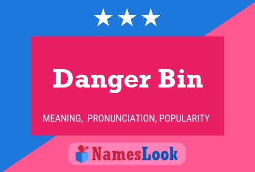 Danger Bin 名字海报