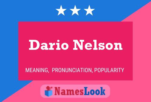 Dario Nelson 名字海报