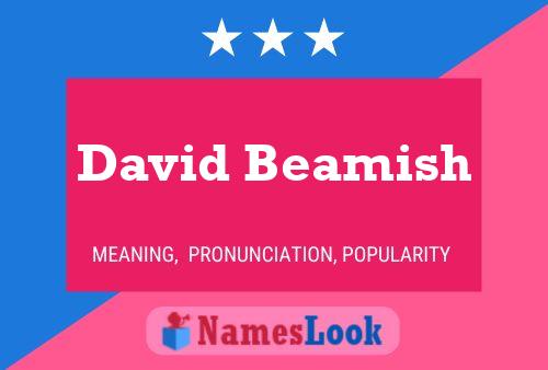 David Beamish 名字海报