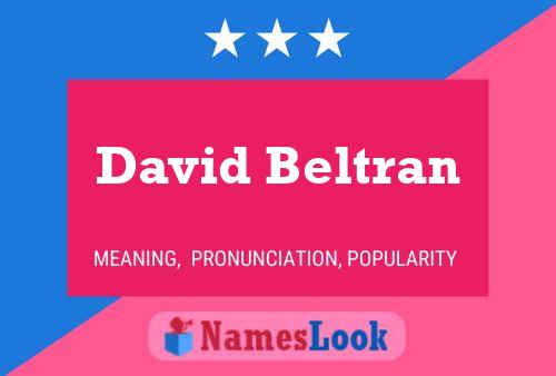 David Beltran 名字海报