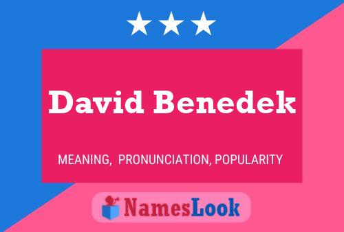 David Benedek 名字海报