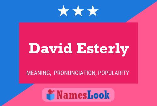 David Esterly 名字海报