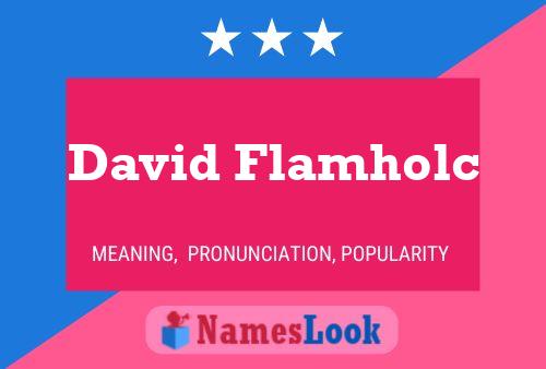 David Flamholc 名字海报