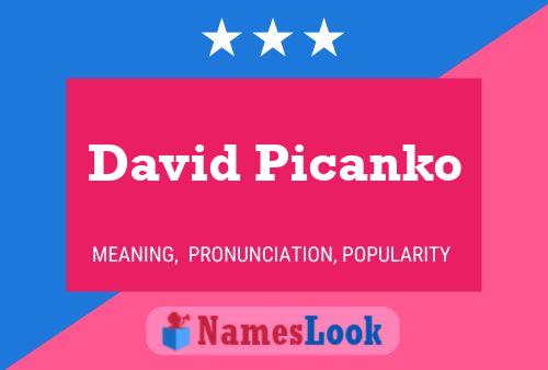 David Picanko 名字海报