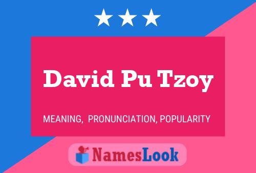 David Pu Tzoy 名字海报