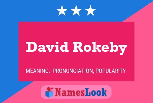 David Rokeby 名字海报