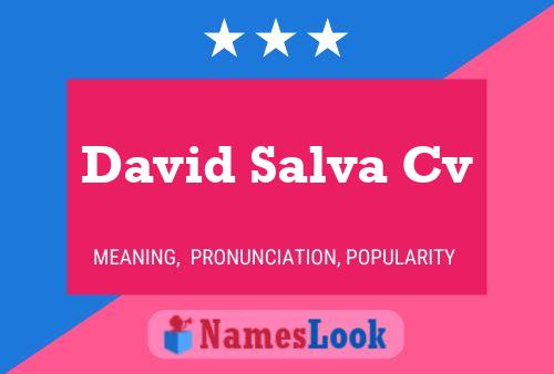 David Salva Cv 名字海报