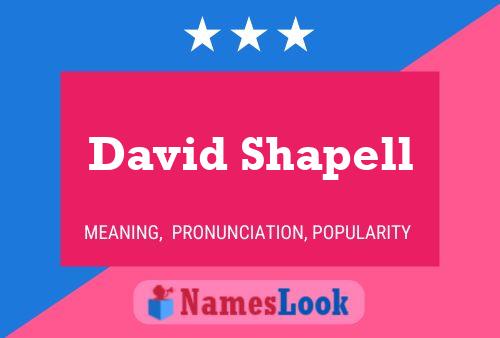 David Shapell 名字海报