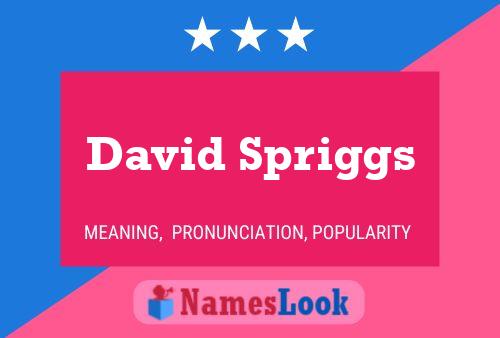 David Spriggs 名字海报