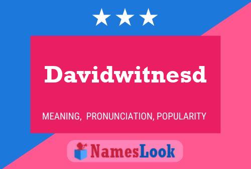 Davidwitnesd 名字海报