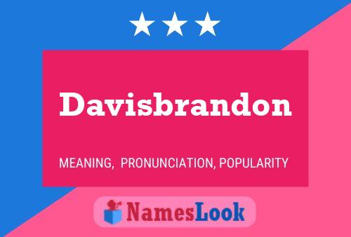 Davisbrandon 名字海报