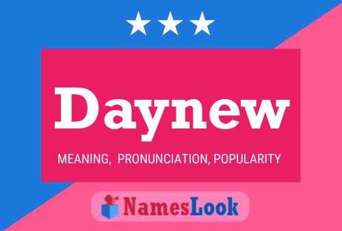 Daynew 名字海报