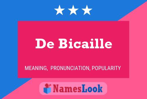 De Bicaille 名字海报