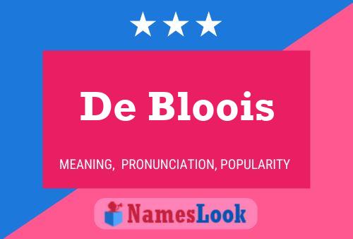 De Bloois 名字海报