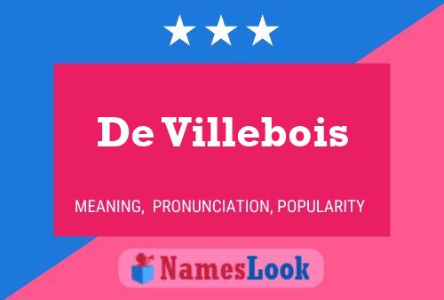 De Villebois 名字海报