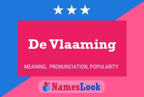 De Vlaaming 名字海报