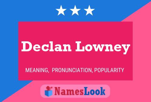 Declan Lowney 名字海报