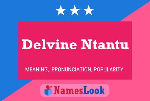 Delvine Ntantu 名字海报