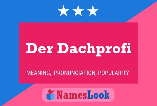 Der Dachprofi 名字海报