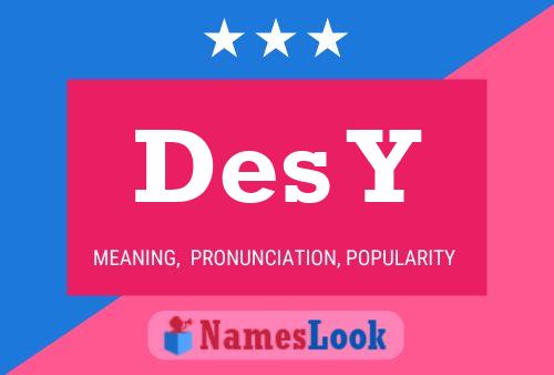 Des Y 名字海报