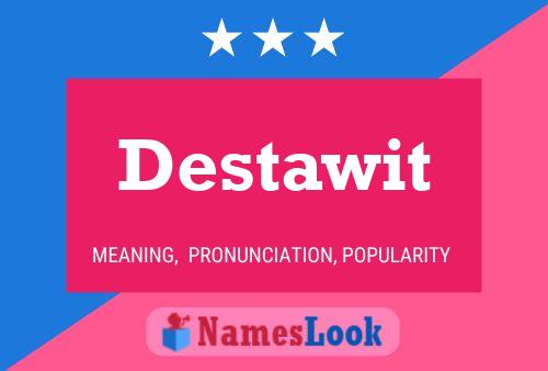 Destawit 名字海报