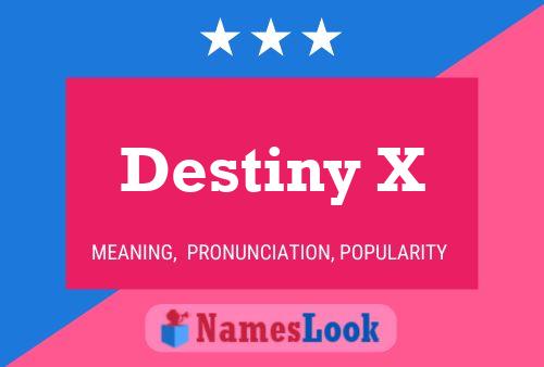 Destiny X 名字海报