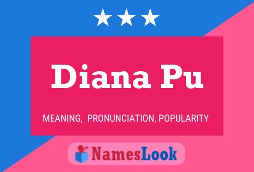 Diana Pu 名字海报