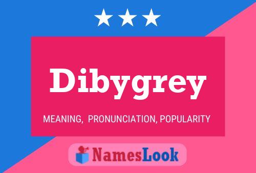 Dibygrey 名字海报