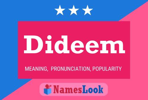 Dideem 名字海报