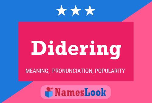 Didering 名字海报