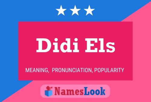 Didi Els 名字海报