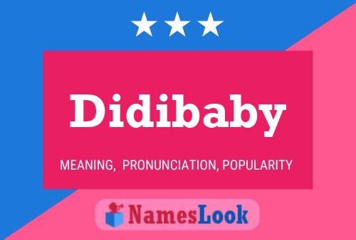 Didibaby 名字海报