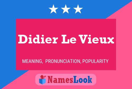 Didier Le Vieux 名字海报