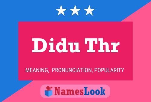 Didu Thr 名字海报