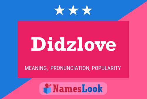 Didzlove 名字海报