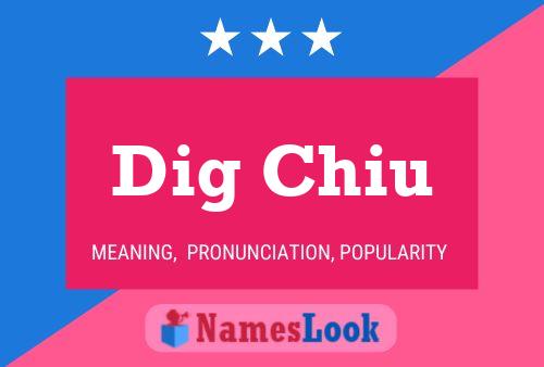 Dig Chiu 名字海报