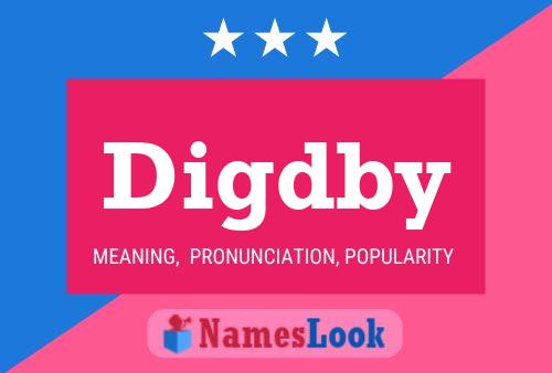 Digdby 名字海报