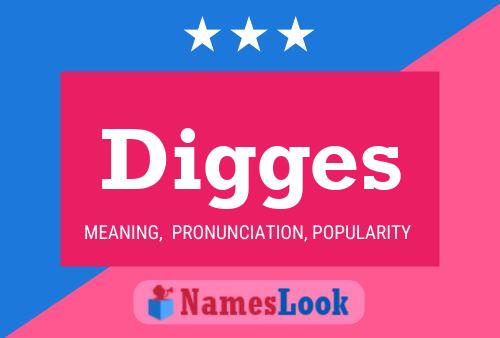 Digges 名字海报